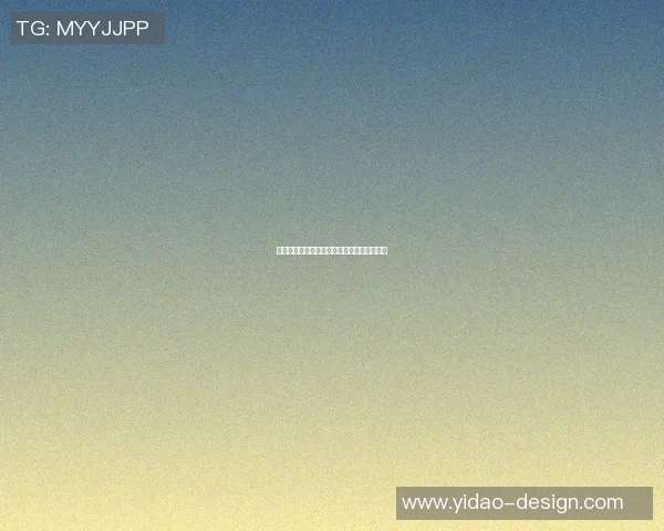 足球明星丽娜的生平故事与精彩瞬间全景介绍